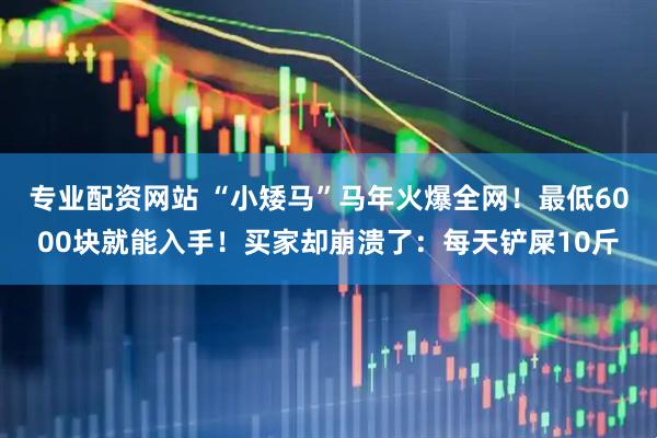 专业配资网站 “小矮马”马年火爆全网！最低6000块就能入手！买家却崩溃了：每天铲屎10斤